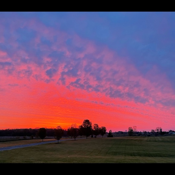 Meet your Posher, Kevin - Picture 1 of 1